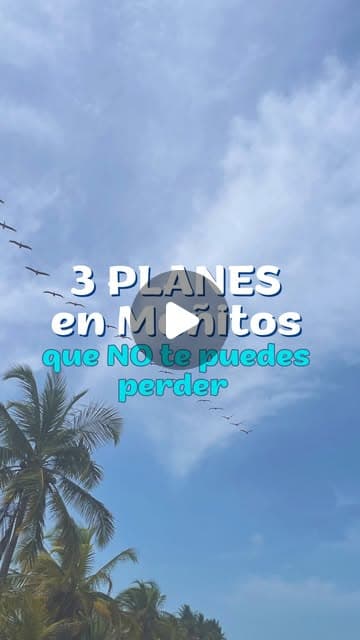 Video UGC